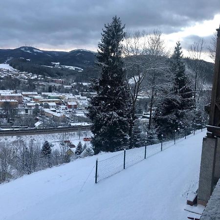 Lambach Villa Appartament 2 Mürzzuschlag Екстериор снимка